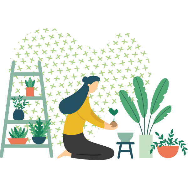 https://ecoviveiros.pt/wp-content/uploads/2019/11/illustration_delivery.png