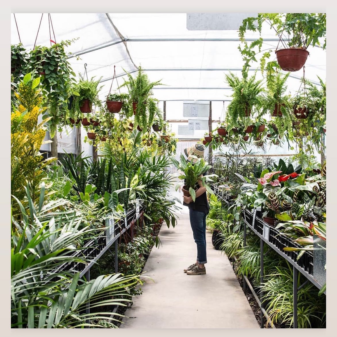 ecov4 https://ecoviveiros.pt/wp-content/uploads/2020/12/ecov4.jpg