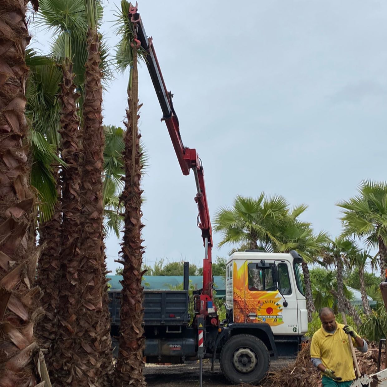 missao https://ecoviveiros.pt/wp-content/uploads/2020/12/missao.jpg